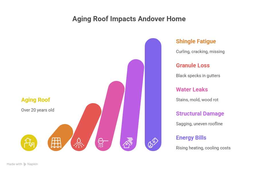 10 Signs It’s Time to Replace Your Roof in Andover, MA - visual selection